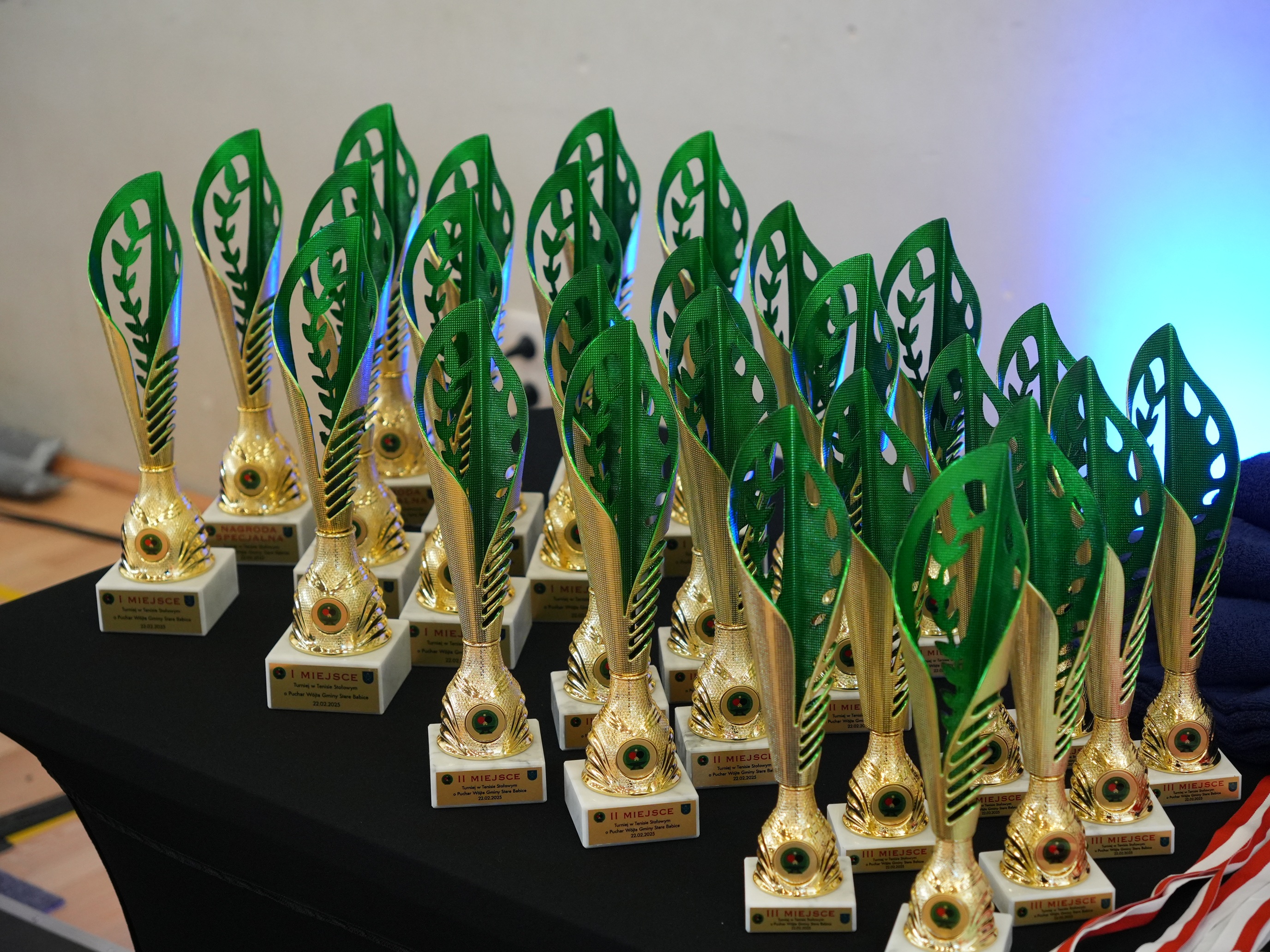 Pierwszy amatorski Turniej Tenisa Stołowego o Puchar Wójta Gminy Stare Babice