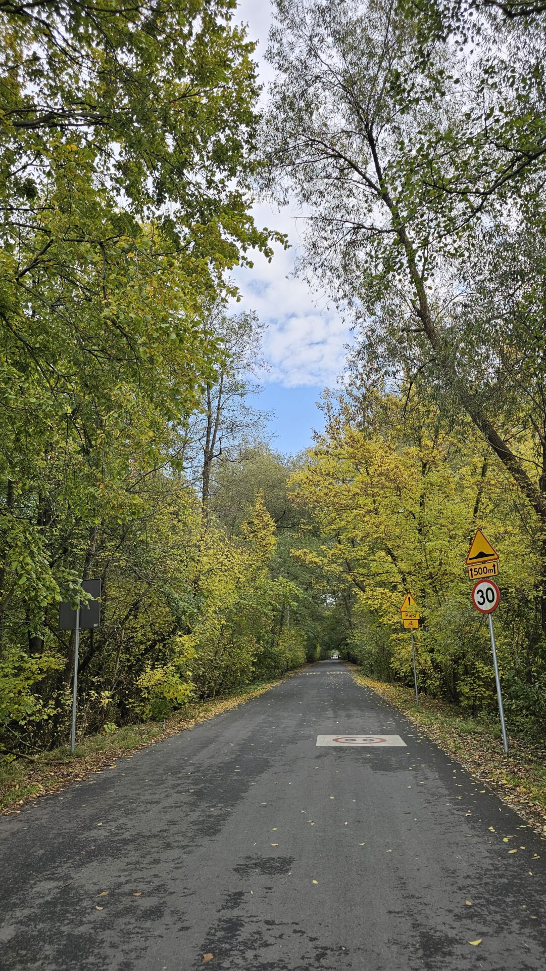 Jesień w gminie Stare Babice – magia kolorów i spokoju