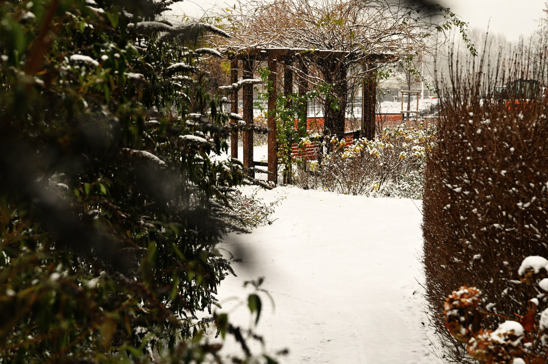 📸 ☃️ Stare Babice w śnieżnej odsłonie