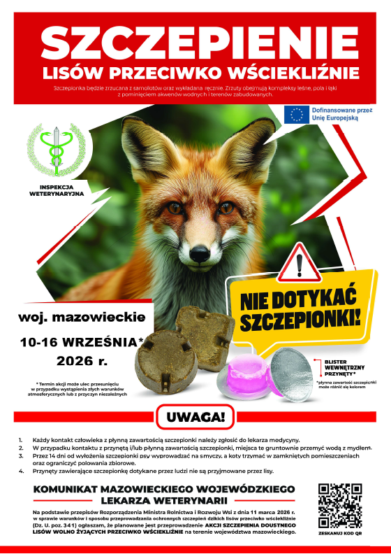 🦊 Szczepienie lisów przeciwko wściekliźnie
