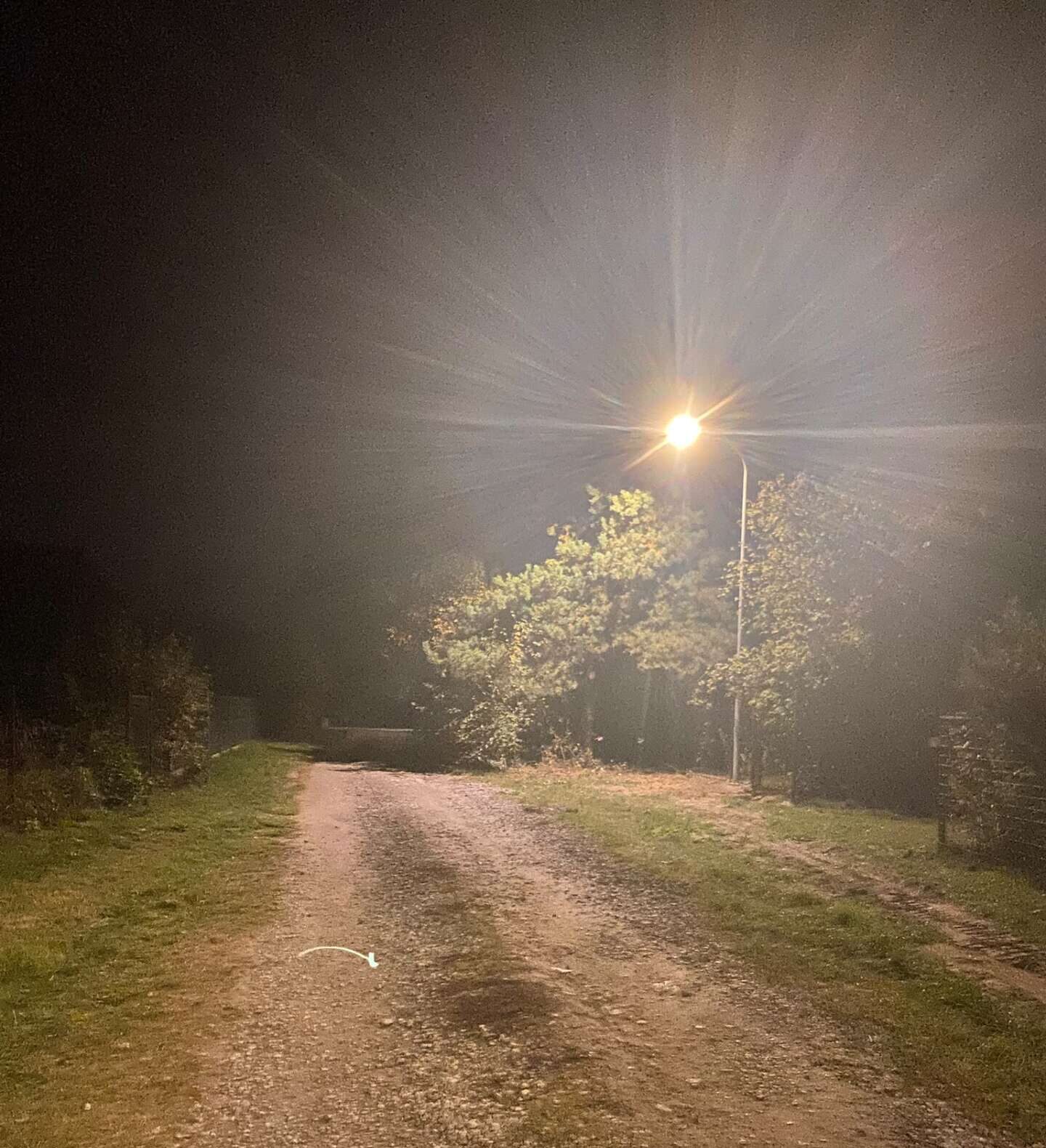 Nowe oświetlenie uliczne na ul. Królewskiej w Wierzbinie!